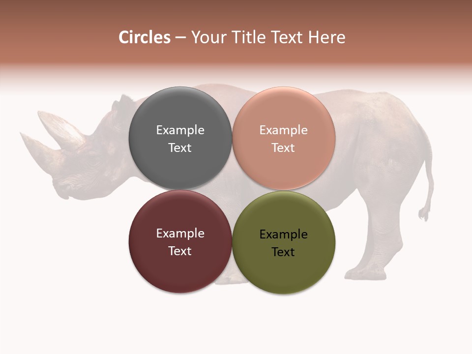 Wild Fauna Side PowerPoint Template
