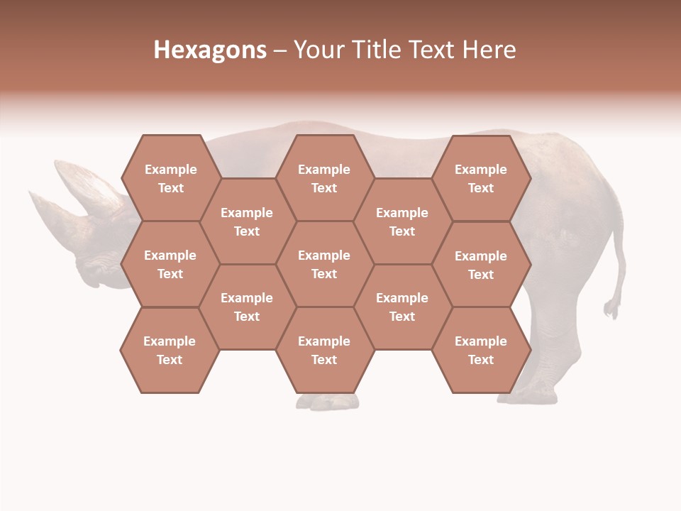 Wild Fauna Side PowerPoint Template