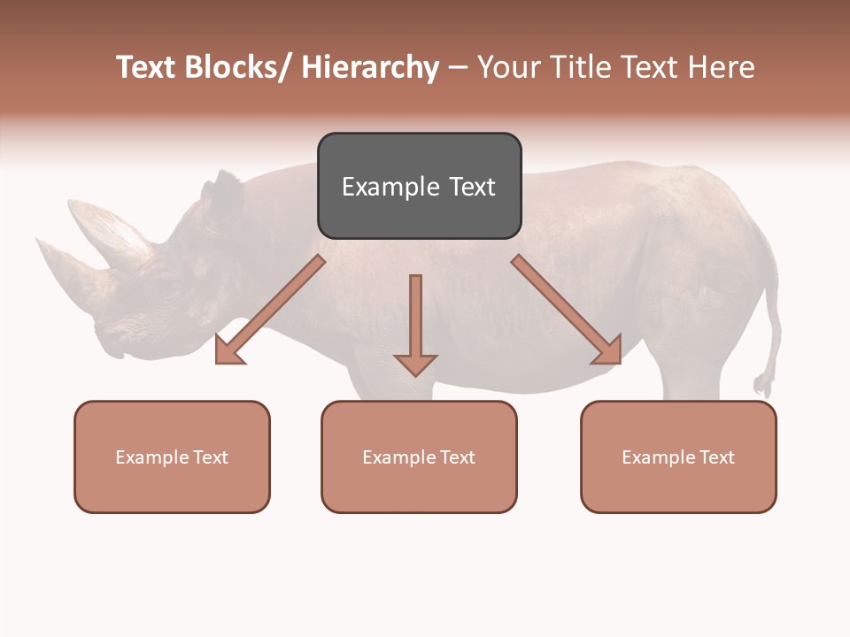 Wild Fauna Side PowerPoint Template