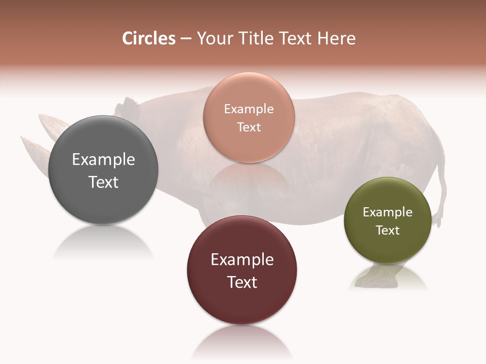 Wild Fauna Side PowerPoint Template