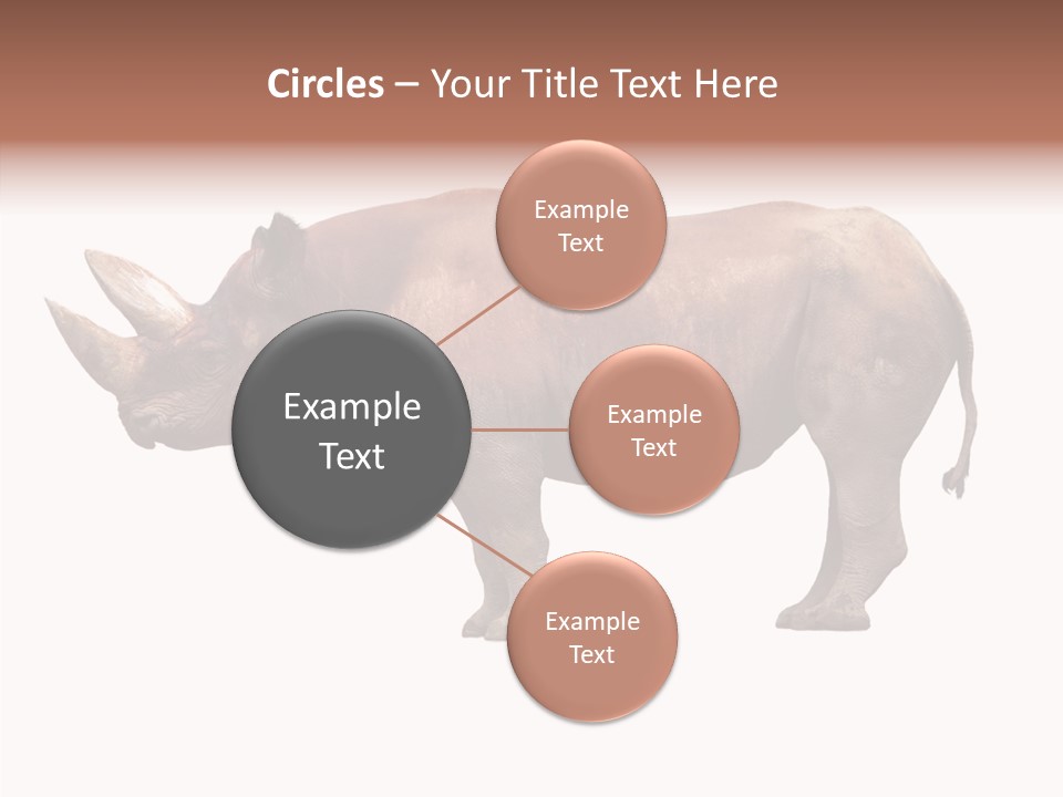 Wild Fauna Side PowerPoint Template