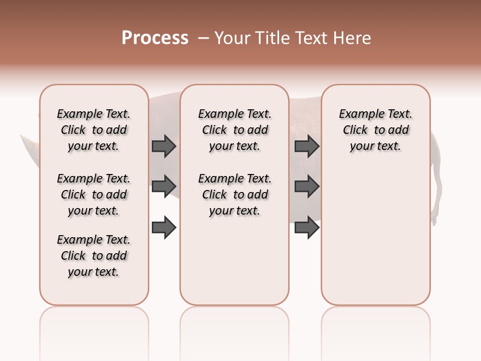Wild Fauna Side PowerPoint Template