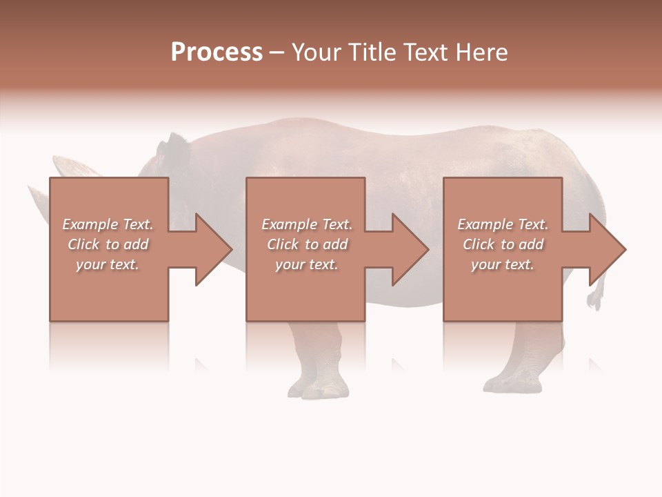 Wild Fauna Side PowerPoint Template