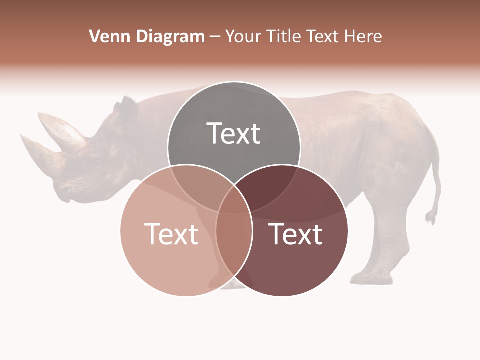 Wild Fauna Side PowerPoint Template