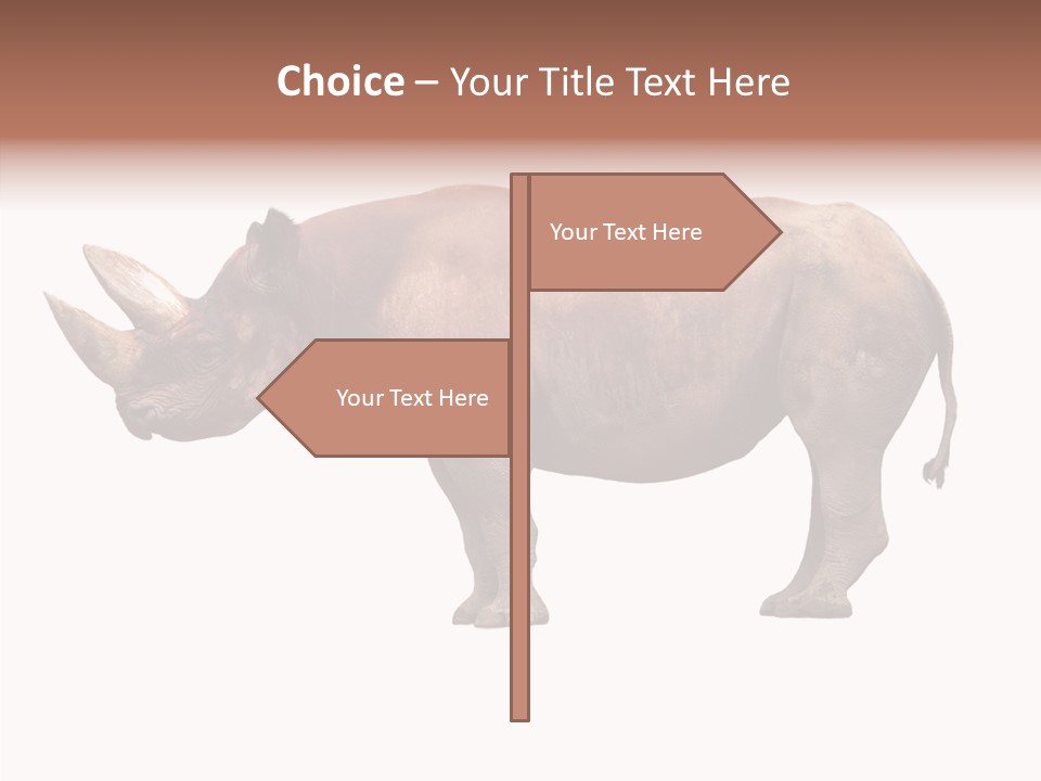 Wild Fauna Side PowerPoint Template