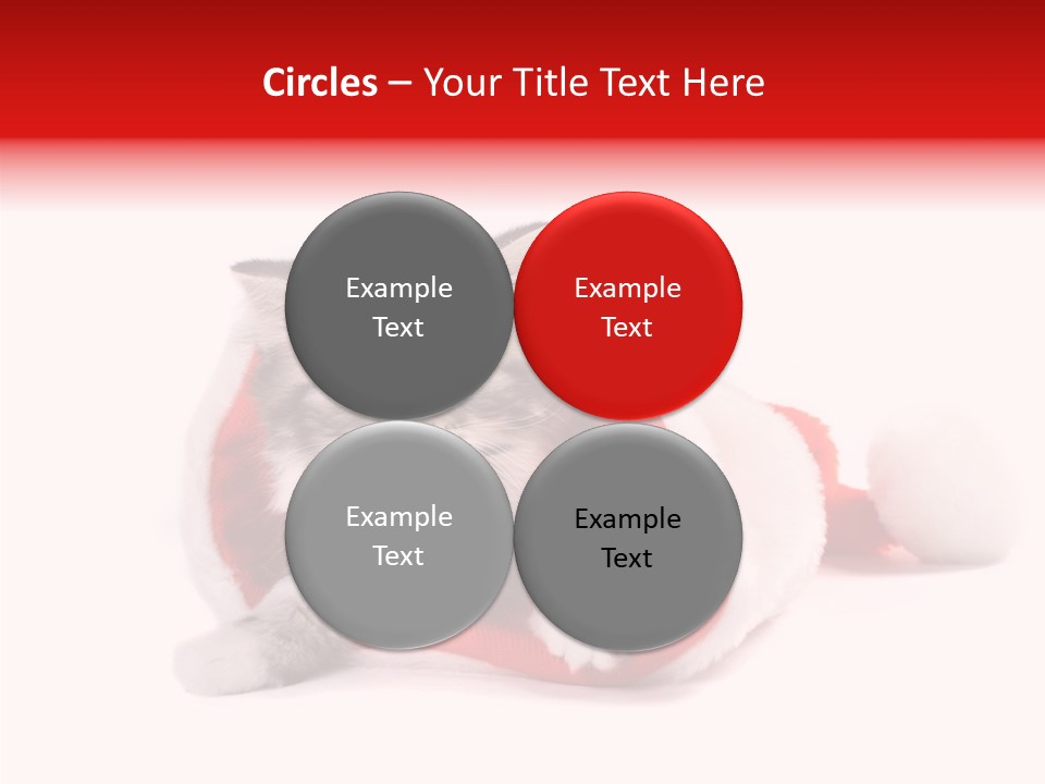 Hat Nature Animals PowerPoint Template