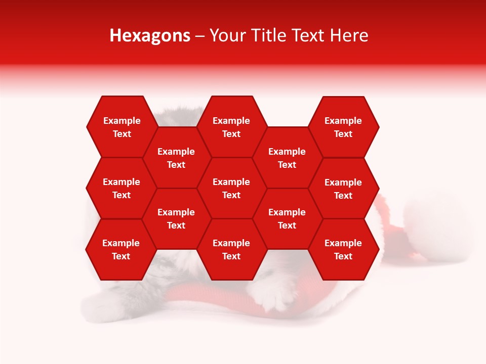 Hat Nature Animals PowerPoint Template