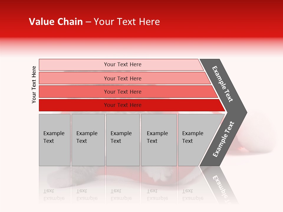 Hat Nature Animals PowerPoint Template