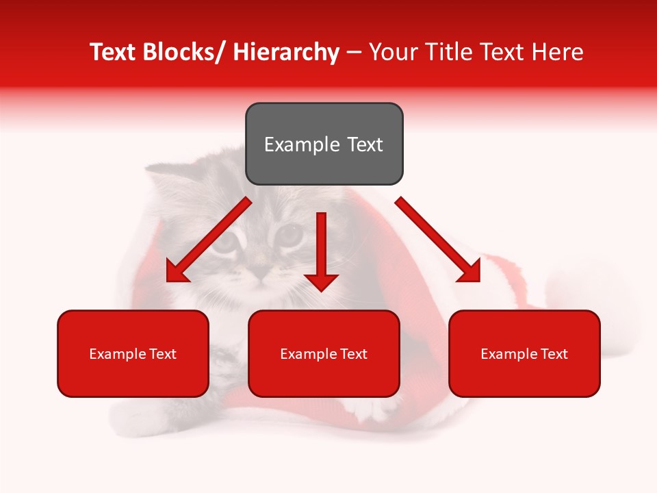 Hat Nature Animals PowerPoint Template