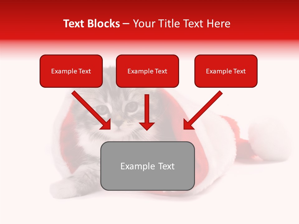 Hat Nature Animals PowerPoint Template