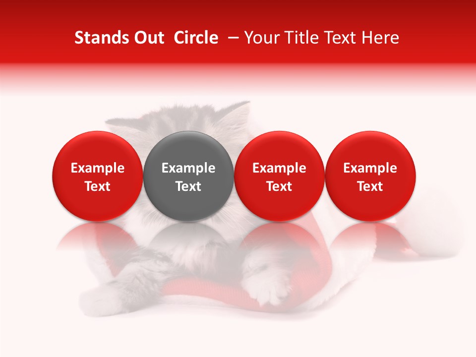 Hat Nature Animals PowerPoint Template