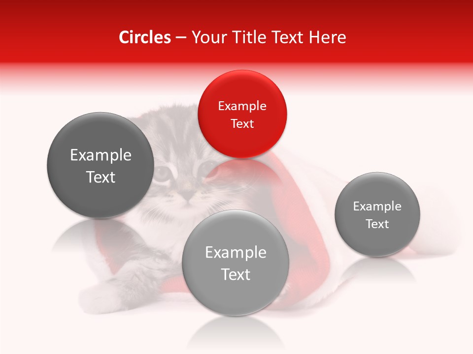 Hat Nature Animals PowerPoint Template