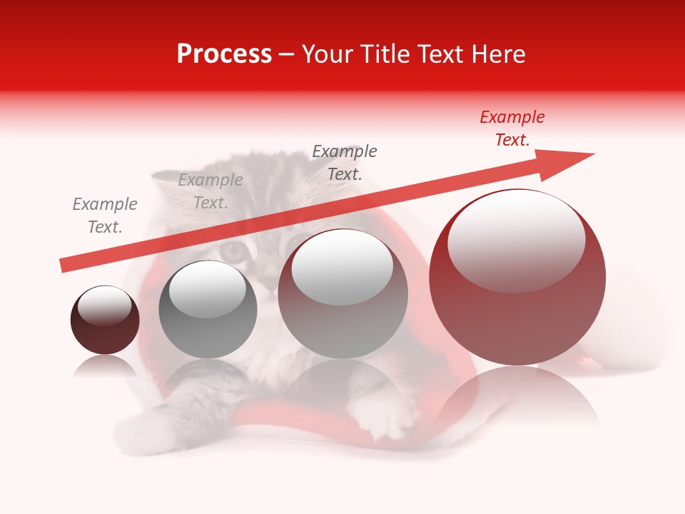 Hat Nature Animals PowerPoint Template