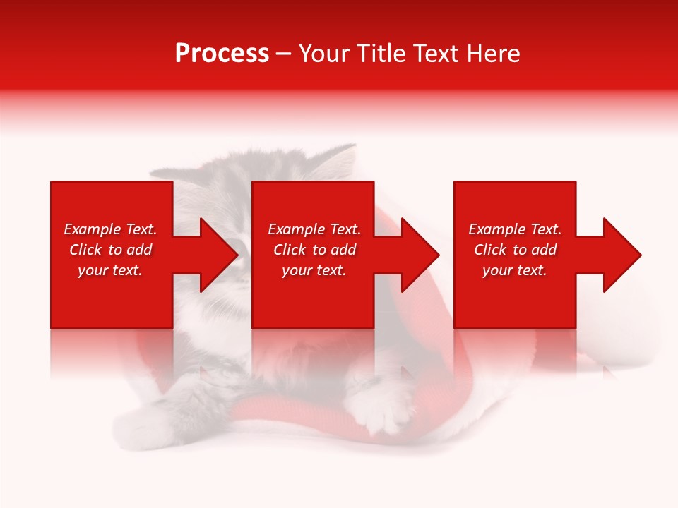 Hat Nature Animals PowerPoint Template