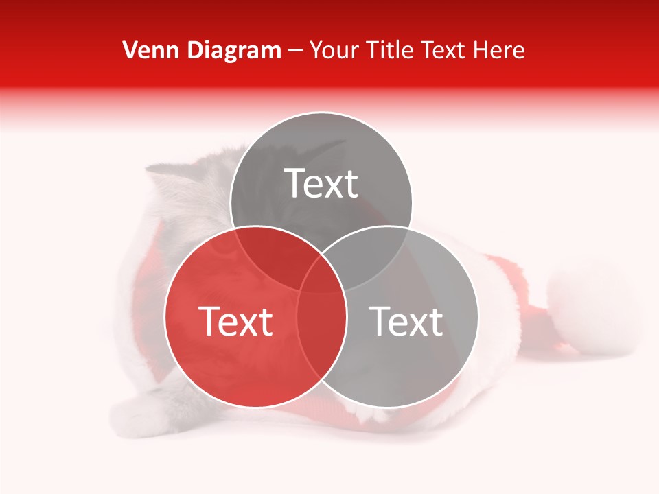 Hat Nature Animals PowerPoint Template