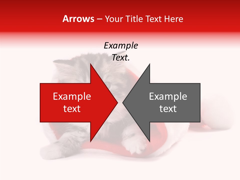 Hat Nature Animals PowerPoint Template