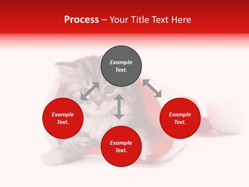 Hat Nature Animals PowerPoint Template