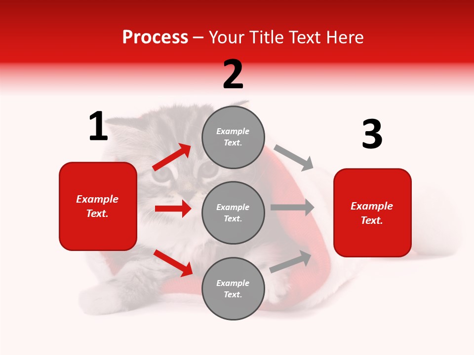 Hat Nature Animals PowerPoint Template