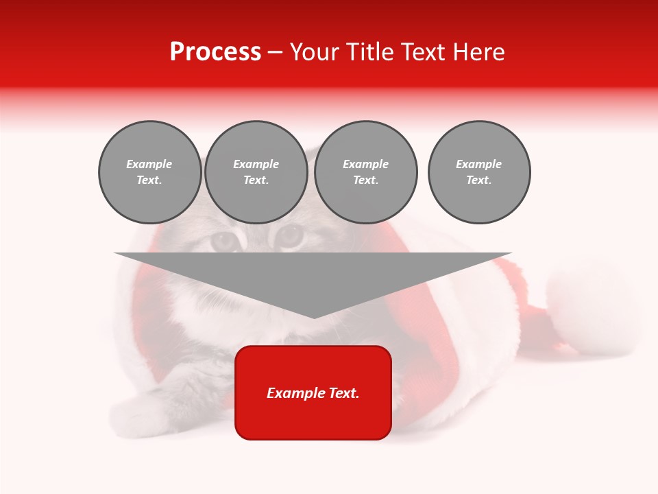 Hat Nature Animals PowerPoint Template