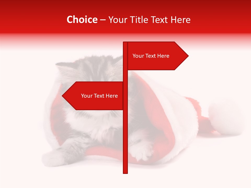 Hat Nature Animals PowerPoint Template