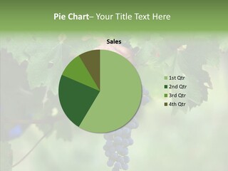 Isolated Tasty Vine PowerPoint Template