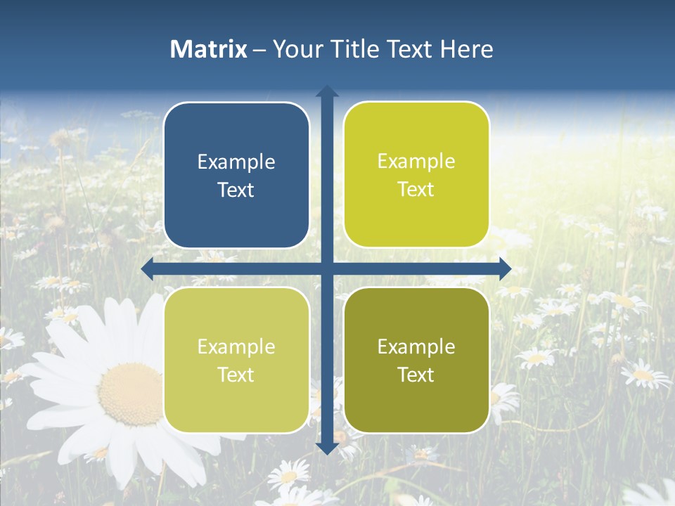 Background Plant Grass PowerPoint Template