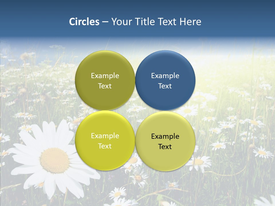 Background Plant Grass PowerPoint Template