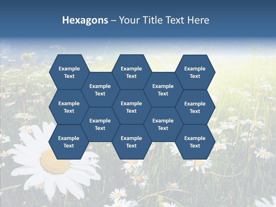 Background Plant Grass PowerPoint Template