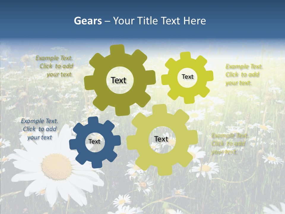 Background Plant Grass PowerPoint Template