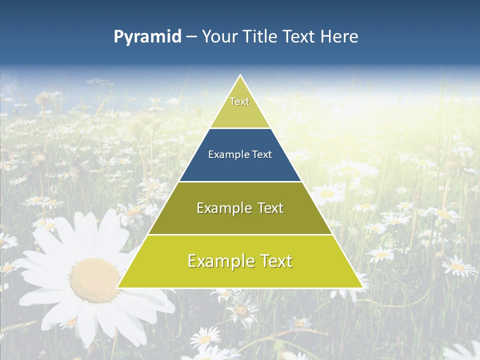 Background Plant Grass PowerPoint Template