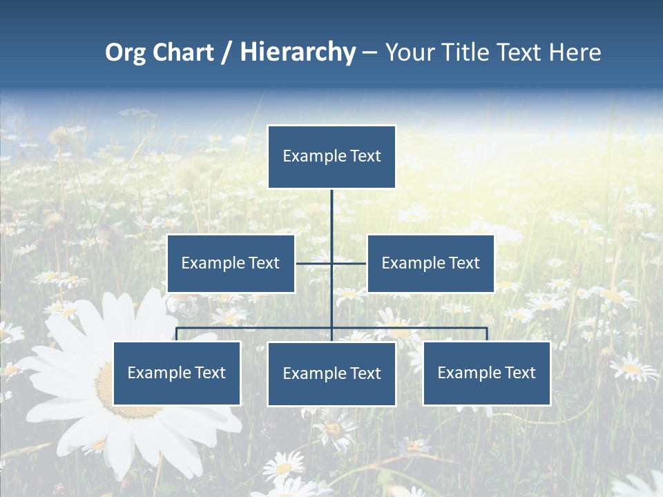 Background Plant Grass PowerPoint Template