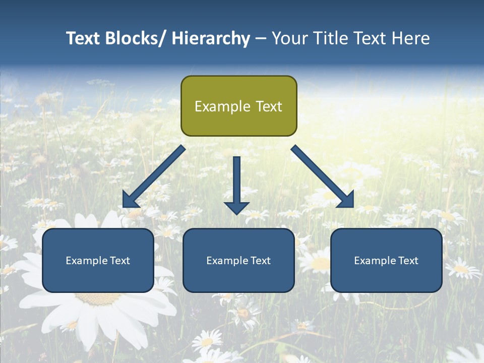 Background Plant Grass PowerPoint Template