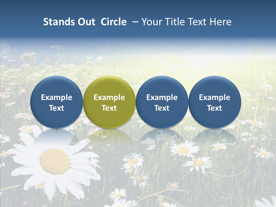 Background Plant Grass PowerPoint Template