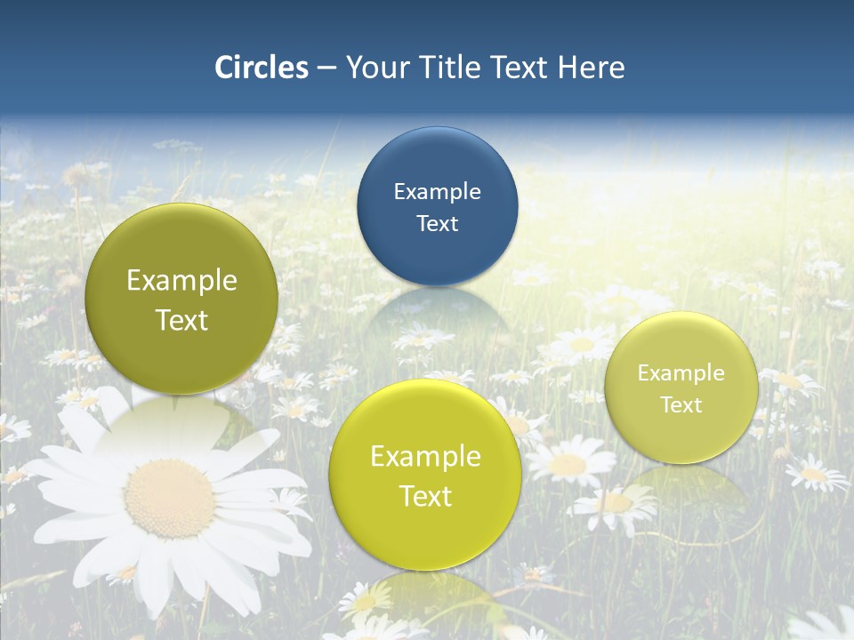 Background Plant Grass PowerPoint Template