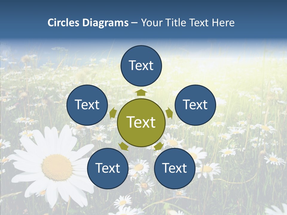 Background Plant Grass PowerPoint Template