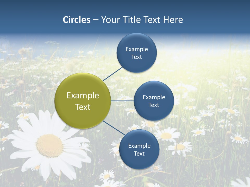 Background Plant Grass PowerPoint Template