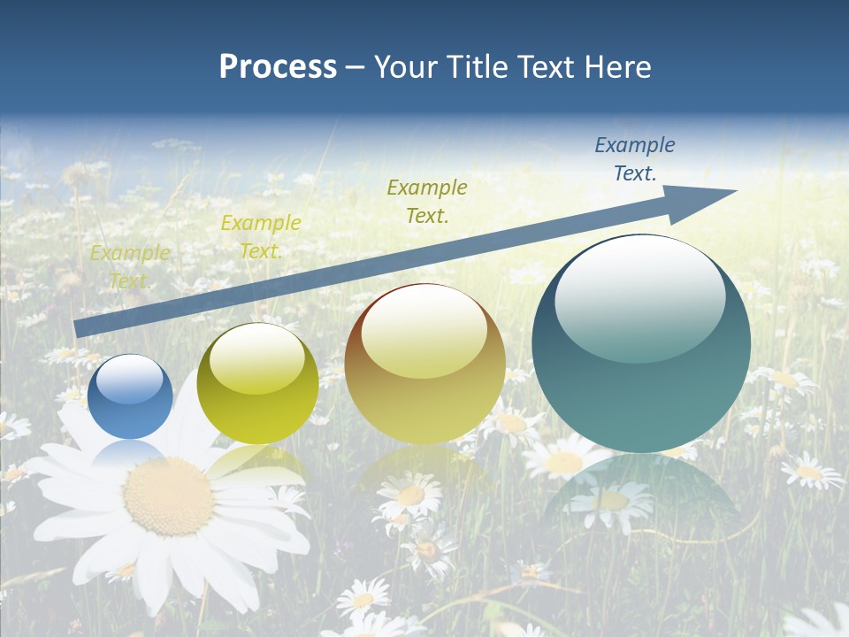 Background Plant Grass PowerPoint Template