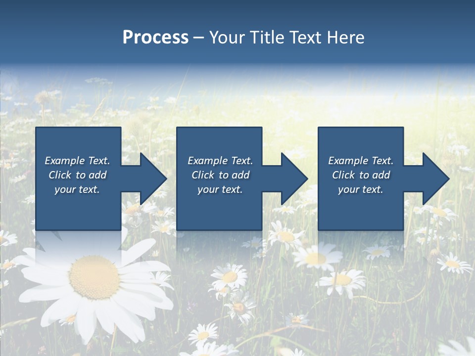 Background Plant Grass PowerPoint Template