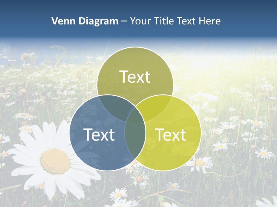 Background Plant Grass PowerPoint Template