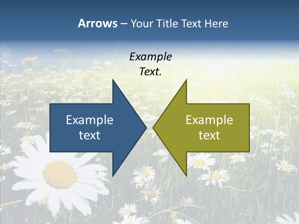 Background Plant Grass PowerPoint Template