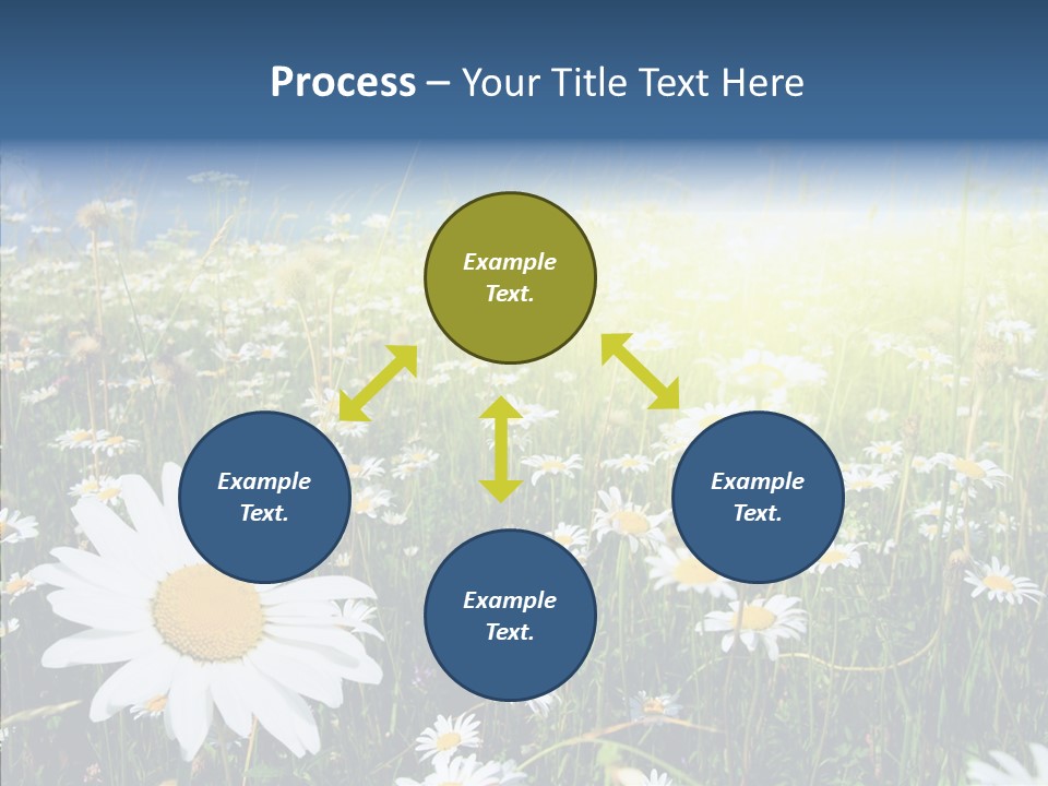 Background Plant Grass PowerPoint Template