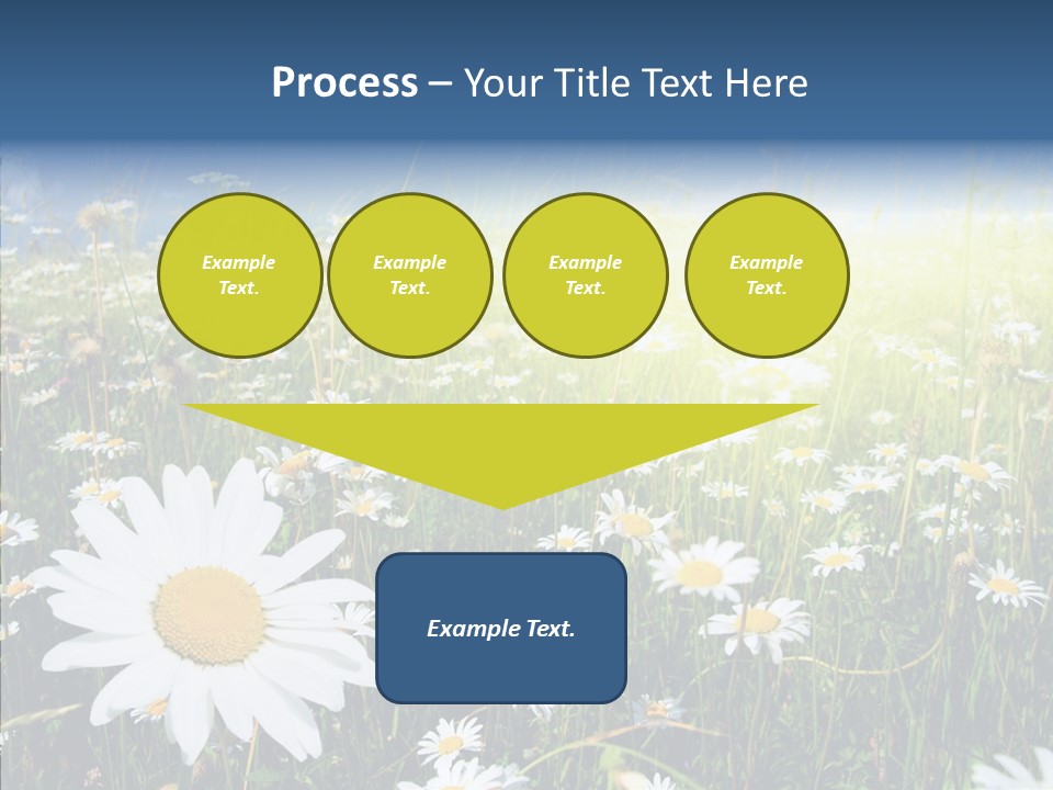 Background Plant Grass PowerPoint Template