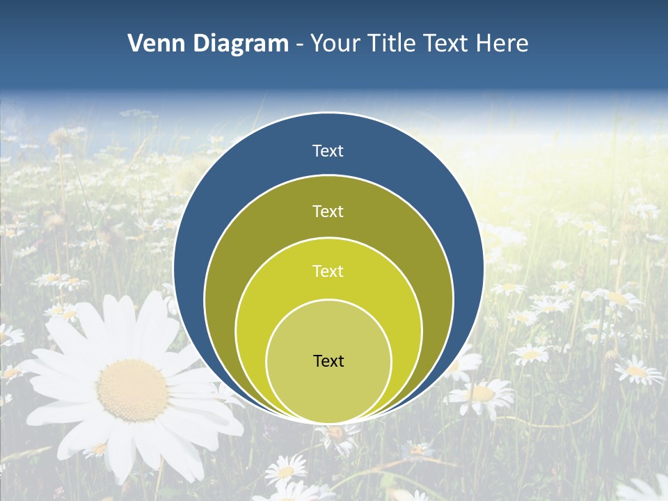 Background Plant Grass PowerPoint Template