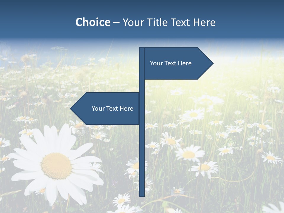 Background Plant Grass PowerPoint Template