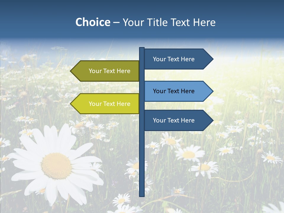 Background Plant Grass PowerPoint Template