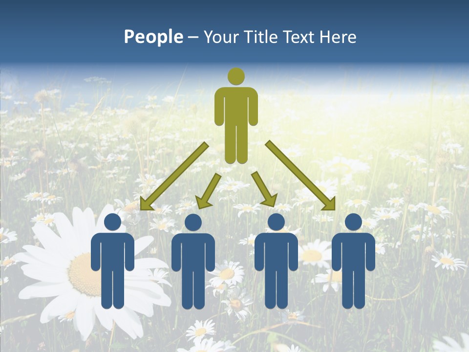 Background Plant Grass PowerPoint Template