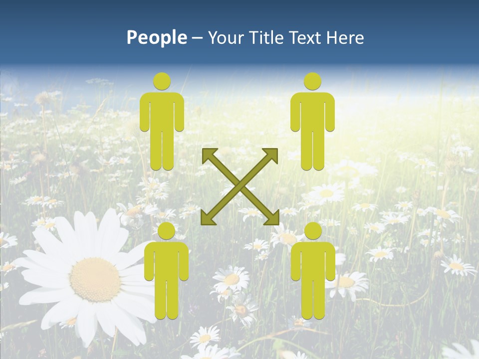 Background Plant Grass PowerPoint Template