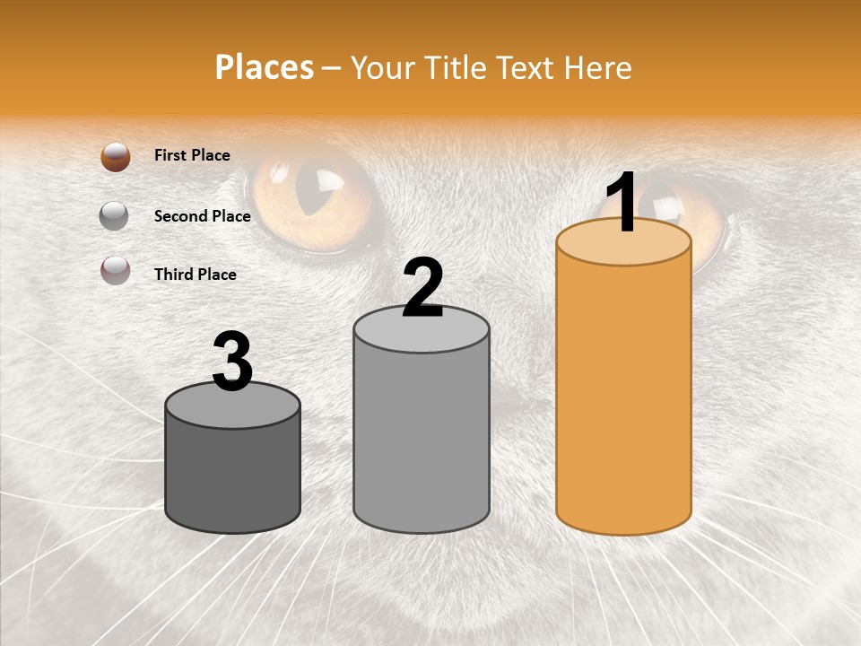 Household Charming Beautiful PowerPoint Template