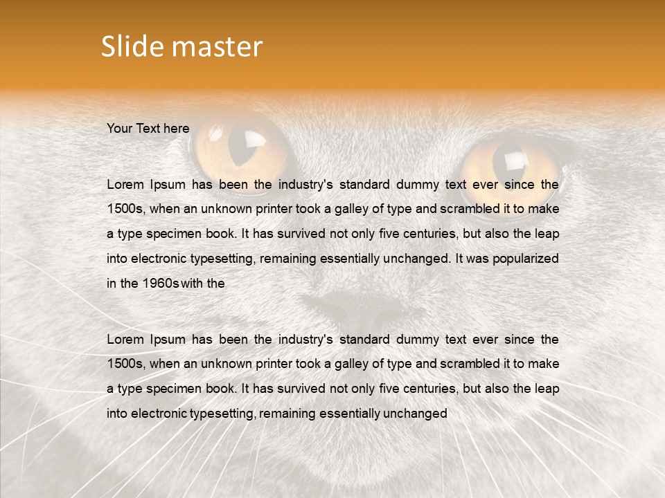 Household Charming Beautiful PowerPoint Template