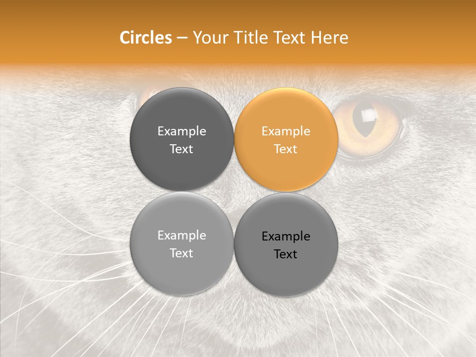 Household Charming Beautiful PowerPoint Template